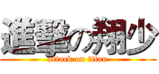 進擊の翔少 (attack on titan)