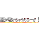 服が破けちゃうだろーが！ (attack on titan)