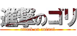 進撃のゴリ (attack on animal)