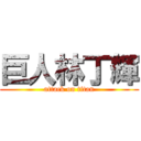 巨人林丁輝 (attack on titan)