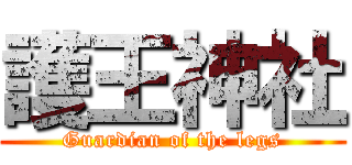 護王神社 (Guardian of the legs)