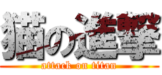 猫の進撃 (attack on titan)