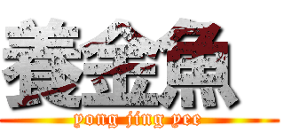 養金魚  (yong jing yee)