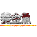 養金魚  (yong jing yee)