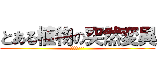 とある植物の突然変異 (メタモルフォーゼ)