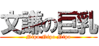 文謙の巨乳 (Nipo Nipo Nipo)