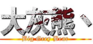 大灰熊丶 (Big Grey Bear)