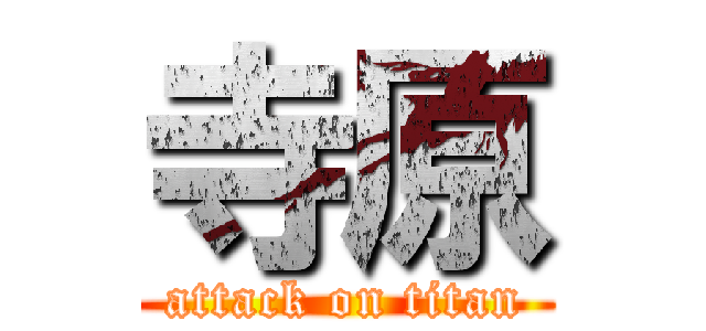 寺原 (attack on titan)