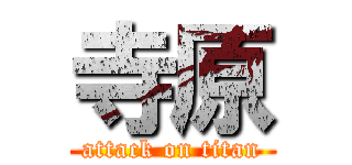 寺原 (attack on titan)