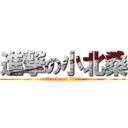 進撃の小北桑 (attack on titan)