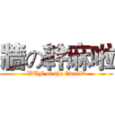 牆の幹麻啦 (WTF of the "wall")