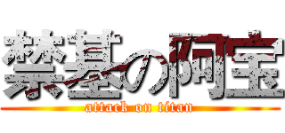 禁基の阿宝 (attack on titan)