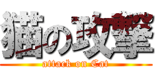 猫の攻撃 (attack on Cat)