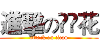 進擊の❤️花 (attack on titan)