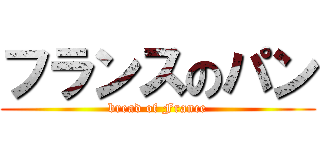 フランスのパン (bread of France)