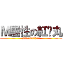 Ｍ屬性の紅喵丸 (MRedCatPill)