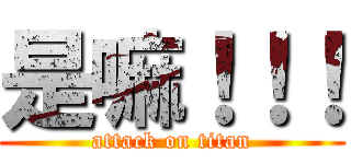 是嘛！！！ (attack on titan)