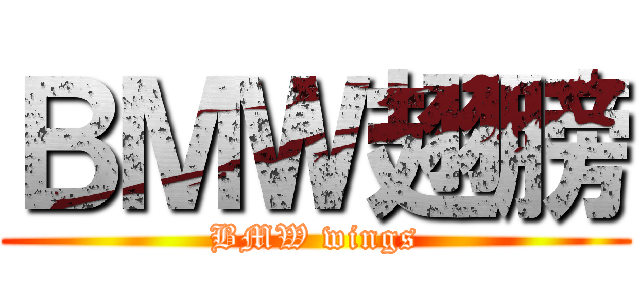 ＢＭＷ翅膀 (BMW wings)