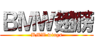 ＢＭＷ翅膀 (BMW wings)