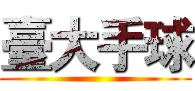臺大手球 ()