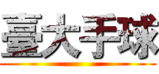 臺大手球 ()