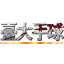 臺大手球 ()