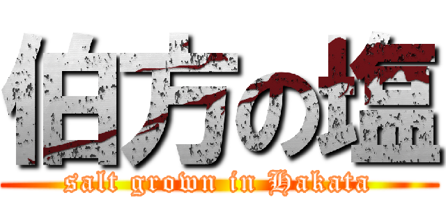伯方の塩 (salt grown in Hakata)