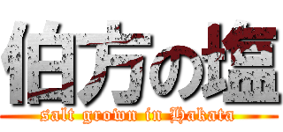 伯方の塩 (salt grown in Hakata)