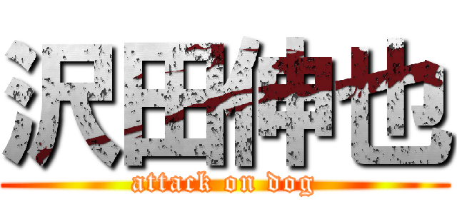 沢田伸也 (attack on dog)