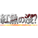 紅魚の沒屌 (red fish no cock )