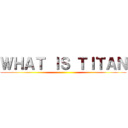 ＷＨＡＴ ＩＳ ＴＩＴＡＮ ()