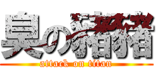 臭の豬豬 (attack on titan)