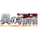 臭の豬豬 (attack on titan)