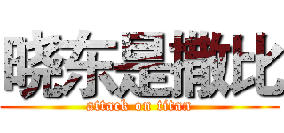晓东是撒比 (attack on titan)