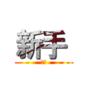 新手  (很壞)