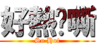 好熱啊嘶 (So Hot)