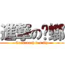 進撃の蟑螂 (Cockroach v.s fly)