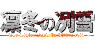 凜冬の冽雪 (The winter sonw by biting cold)