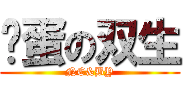 傻蛋の双生 (NC&BY)