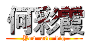何彩霞 (You  are  dig)