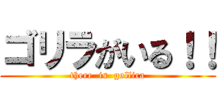 ゴリラがいる！！ (there  is  gollira)