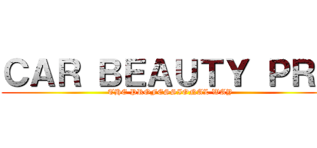 ＣＡＲ ＢＥＡＵＴＹ ＰＲＯ (THE PROFESSIONAL WAY)