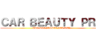 ＣＡＲ ＢＥＡＵＴＹ ＰＲＯ (THE PROFESSIONAL WAY)