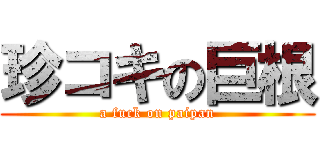 珍コキの巨根 (a fuck on paipan)