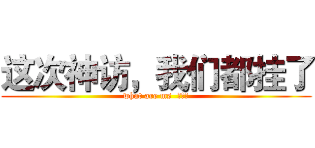 这次神访，我们都挂了 (what are ms  弄啥咧)