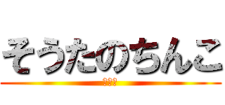 そうたのちんこ (ちんこ)