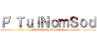 Ｐ\'ＴｕｉＮｏｍＳｏｄ (Welcome To Facebook)