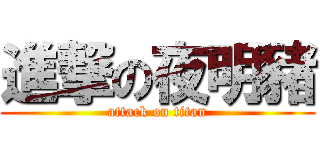 進撃の夜明豬 (attack on titan)