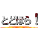 とどほら！ (Ｔｏｄｏｒｏｋｉ　Ｈｏｒｉｚｏｎ)