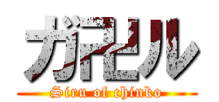 ガ卍ル (Siru of chinko)